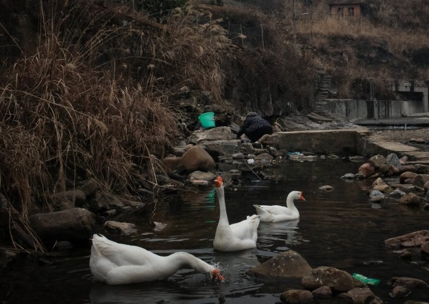 ��������ȡ����ȫ��